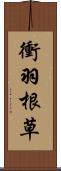 衝羽根草 Scroll