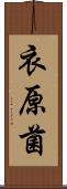 衣原菌 Scroll