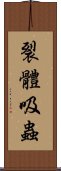 裂體吸蟲 Scroll