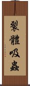 裂體吸蟲 Scroll