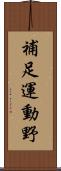 補足運動野 Scroll