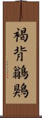 褐背鶲鶪 Scroll