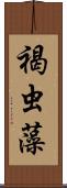 褐虫藻 Scroll