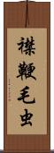 襟鞭毛虫 Scroll