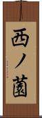 西ノ薗 Scroll