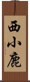 西小鹿 Scroll