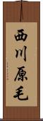 西川原毛 Scroll