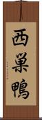 西巣鴨 Scroll