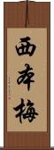 西本梅 Scroll