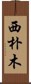 西朴木 Scroll