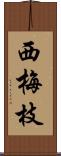 西梅枝 Scroll