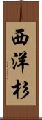 西洋杉 Scroll