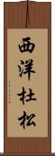 西洋杜松 Scroll