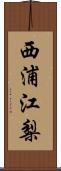 西浦江梨 Scroll
