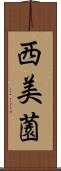 西美薗 Scroll