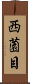 西薗目 Scroll