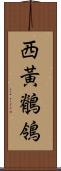 西黃鶺鴒 Scroll