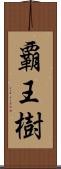 覇王樹 Scroll