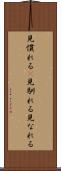 見慣れる(P) Scroll