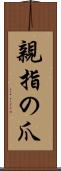 親指の爪 Scroll