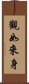觀如來身 Scroll