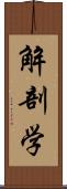 解剖学 Scroll