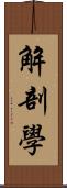 解剖學 Scroll