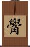 觷 Scroll