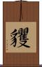 貜 Scroll