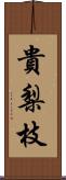 貴梨枝 Scroll