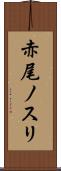 赤尾ノスリ Scroll