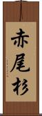赤尾杉 Scroll