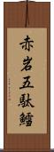 赤岩五駄鱈 Scroll