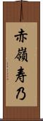 赤嶺寿乃 Scroll