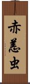 赤恙虫 Scroll