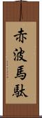 赤波馬駄 Scroll