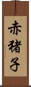 赤猪子 Scroll