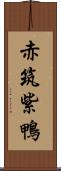 赤筑紫鴨 Scroll