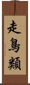 走鳥類 Scroll