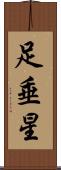 足垂星 Scroll