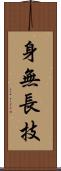 身無長技 Scroll