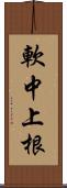 軟中上根 Scroll