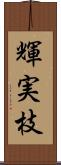 輝実枝 Scroll