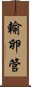 輸卵管 Scroll