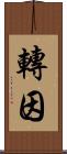 轉因 Scroll