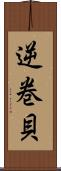 逆巻貝 Scroll