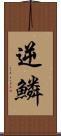 逆鱗 Scroll
