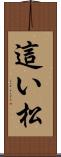 這い松 Scroll