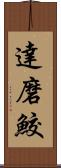 達磨鮫 Scroll