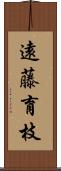 遠藤育枝 Scroll